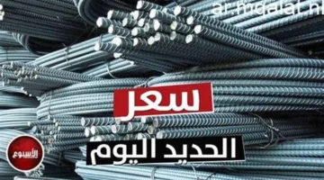 تغيرات واسعة.. سعر حديد عز والأسمنت في مصر خلال تعاملات الخميس